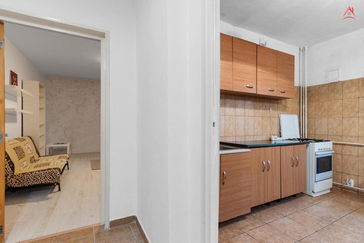 Dristor Large And Cozy Apartment Bukarest Eksteriør billede